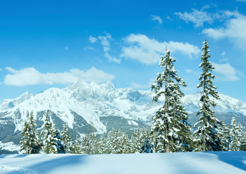 Winter mountain fir forest snowy landscape (top of Papageno bahn - Filzmoos, Austria)