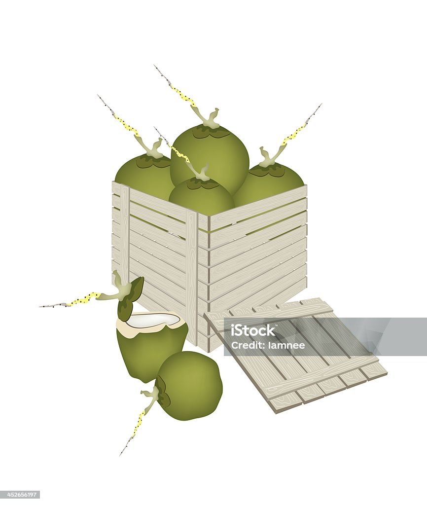 Frais de coco vert Cargo dans une boîte en bois - Illustration de Affaires libre de droits