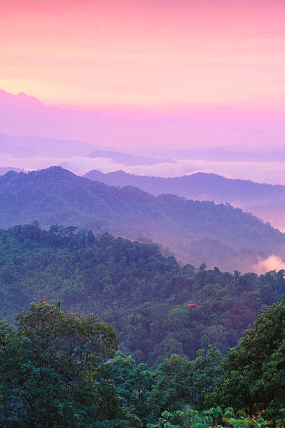 istock Beautiful twilight landscape in rain forest. 452656845