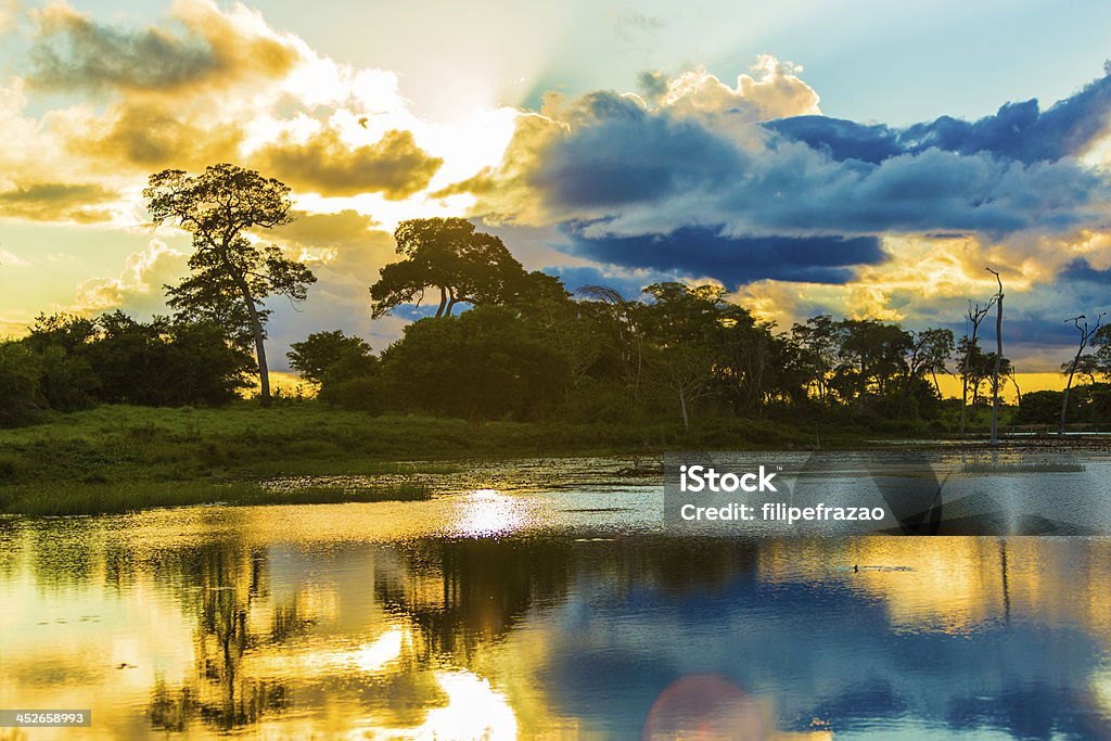 Colorful Sunset in Pantanal River, Brazil Pantanal Wetlands Stock Photo
