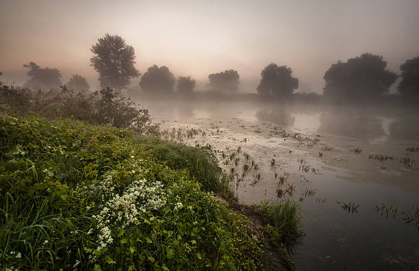 morning sunshine with fog