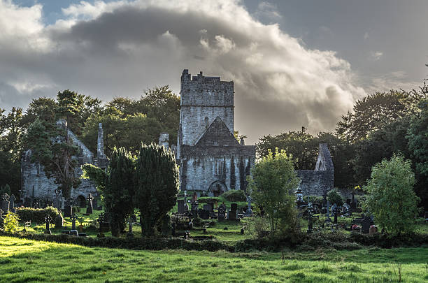 istock Ruin of a castle in the woods 452660109
