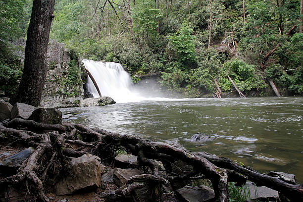 滝 - waterfall great smoky mountains great smoky mountains national park tennessee ストックフォトと画像