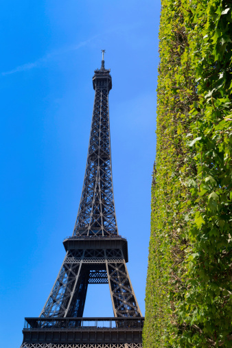 bottom view of the Eiffel Tower in Paris; Paris, France