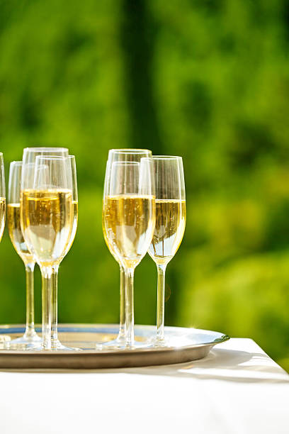 istock Champagne Flutes On Tray 452668867