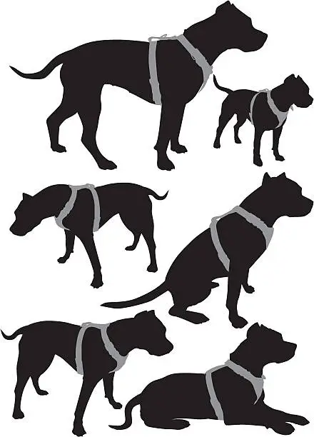 Vector illustration of pit bull vector  silhouettes