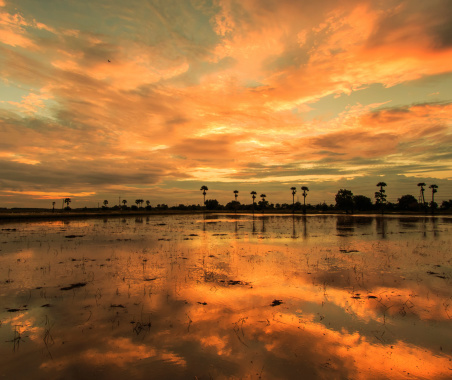 Scenic sunset in Kampong Phluk, a commune in Prasat Bakong District in Siem Reap Province Cambodia.