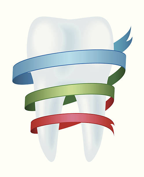 zahn mit band - human teeth dental equipment three dimensional shape technology stock-grafiken, -clipart, -cartoons und -symbole
