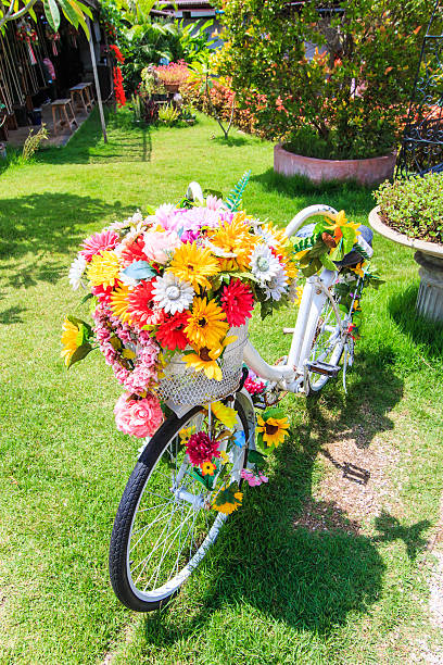 flower on a bicycle background Lawn