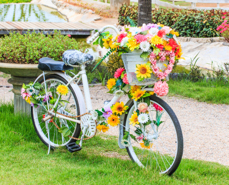 flower on a bicycle background Lawn
