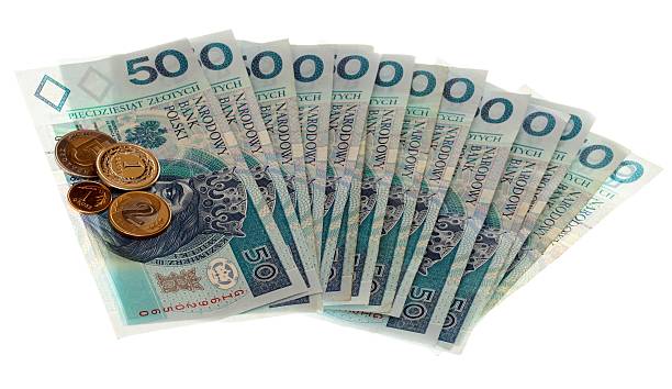 istock Polish money isolated 452679381