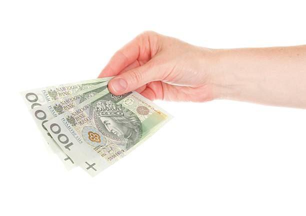istock Polish money isolated in hand 452679461