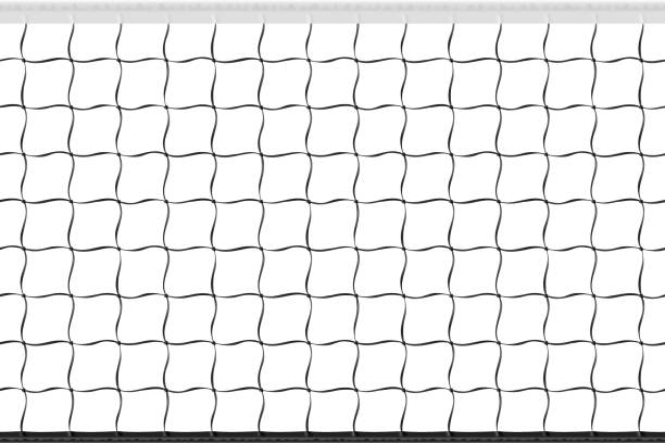 Seamless volleyball net vector art illustration