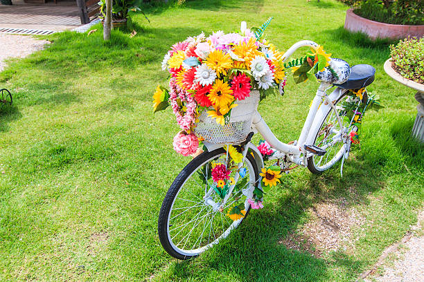flower on a bicycle background Lawn