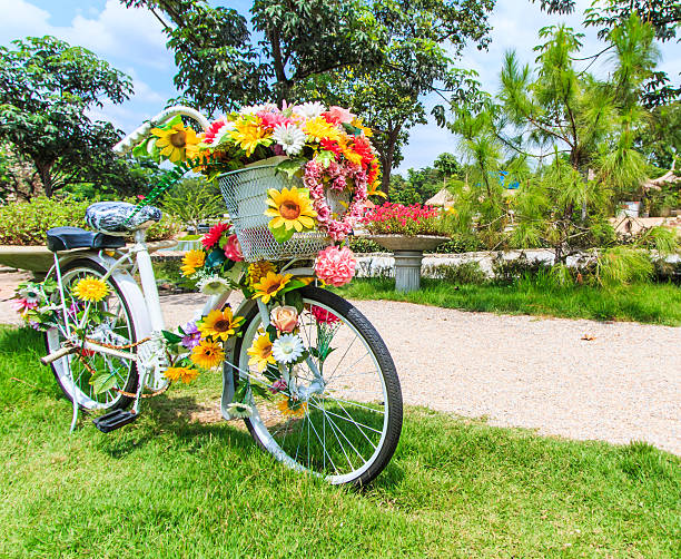 istock flower on a bicycle background Lawn 452682953