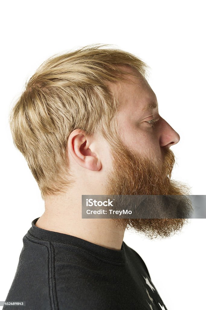 Profile Of Male With Large Beard Stock Photo - Download Image Now - Men,  Beard, Profile View - iStock
