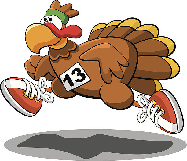 Turkey Trot Vector illustration of a turkey participating in a Thanksgiving Turkey Trot. run stock illustrations