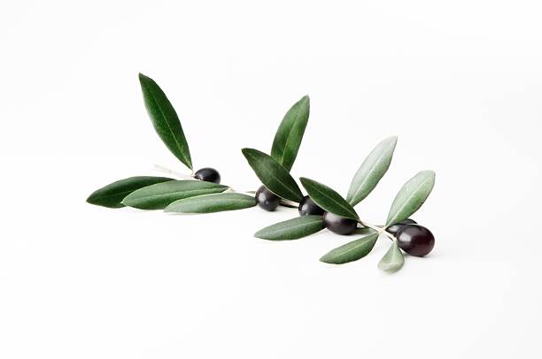 istock i love oil 452690993