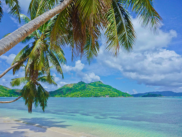 istock Beach on Praslin Island, Seychelles 452691079