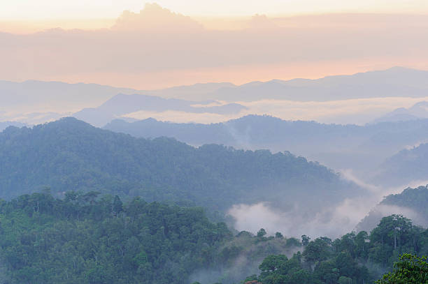 istock Beautiful sunset  floating fog landscape. 452693121