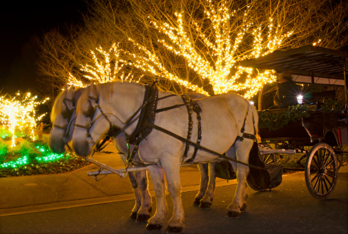 A horse drawn carriage pulled by two draft horses in front of festive, holiday lights.