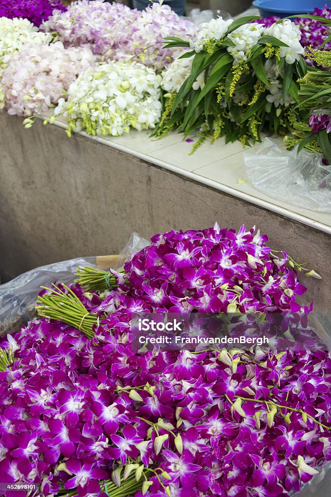 Ramos de flores de Orquídea - Foto de stock de Asia libre de derechos