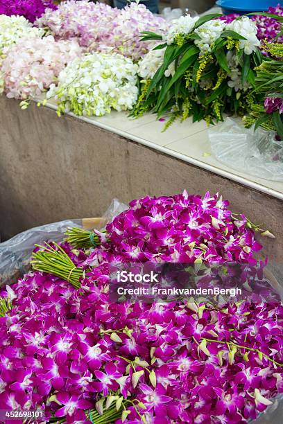 Ramos De Flores De Orquídea Foto de stock y más banco de imágenes de Asia - Asia, Bangkok, Blanco - Color