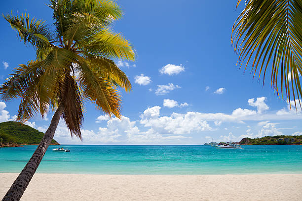 istock Lindbergh Bay, St. Thomas, US Virgin Islands 452700165