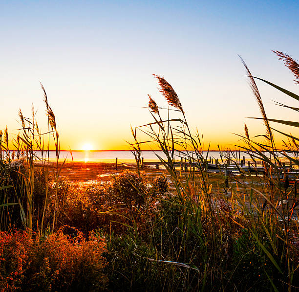 abenddämmerung im currituck sound - meeresarm stock-fotos und bilder