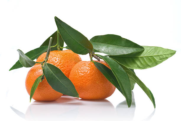 istock Tangerines with green leaves isolated on white 452701275