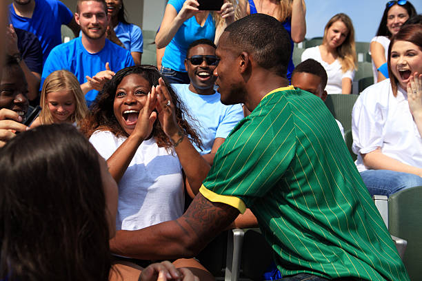 Sports Fan Proposal