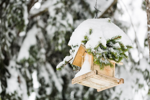 A brown bird feeder made of wood and plywood covered with snow hangs on a rope on tree branches in winter.