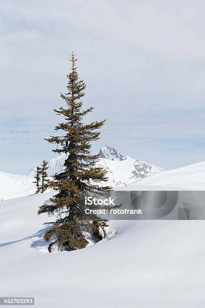 Winter Landscape With Trees Stock Photo - Download Image Now - Austria, Blue, European Alps