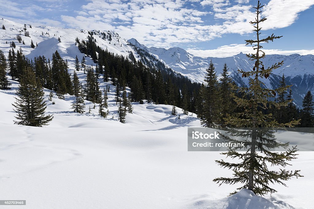 Winter landscape with trees Austria Stock Photo