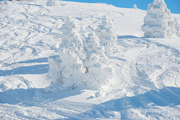 istock Winter Landscape with Snow and Trees 452707449