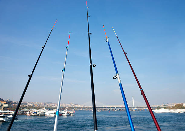istock Fishing rods on the Galata Bridge 452713071