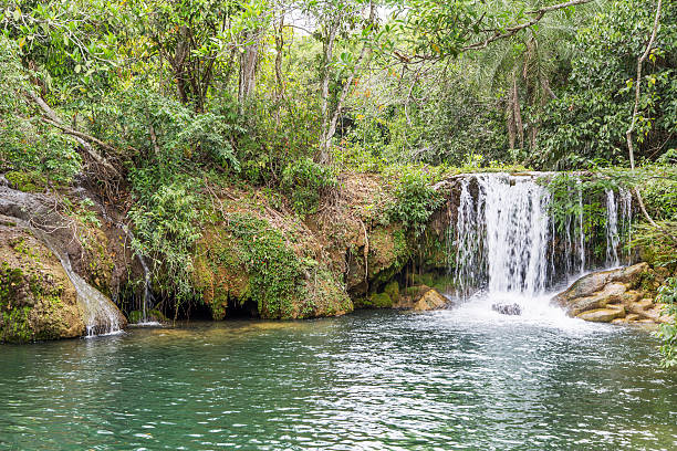 istock Waterfall in Bonito, Mato Grosso do Sul 452716757