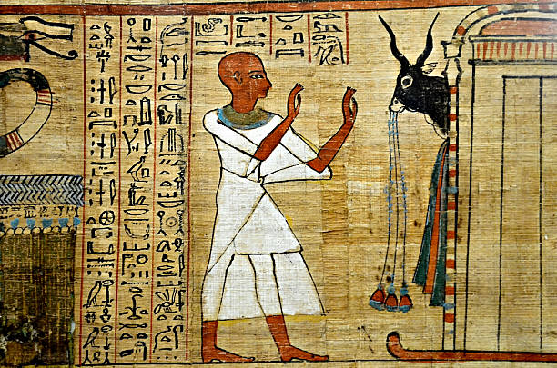 papyrus égyptien, livre des morts - parchment vellum paper textured photos et images de collection