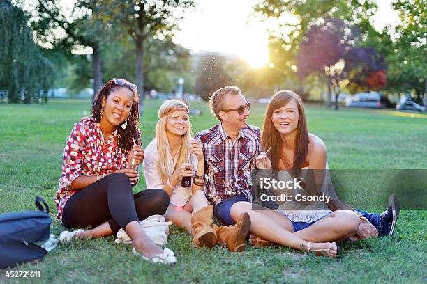 Jovens Faculdade Alunos Juntos No Parque - Fotografias de stock e mais imagens de Festival de Música - Festival de Música, Festival tradicional, Grupo multiétnico