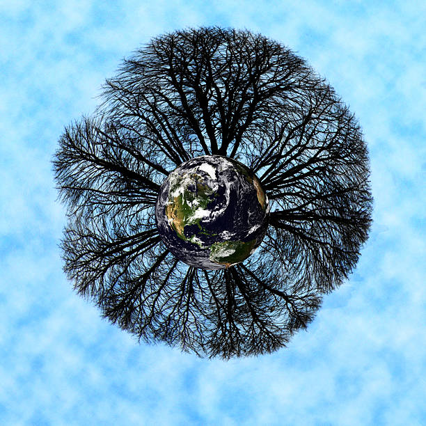 Árvores mundo - fotografia de stock