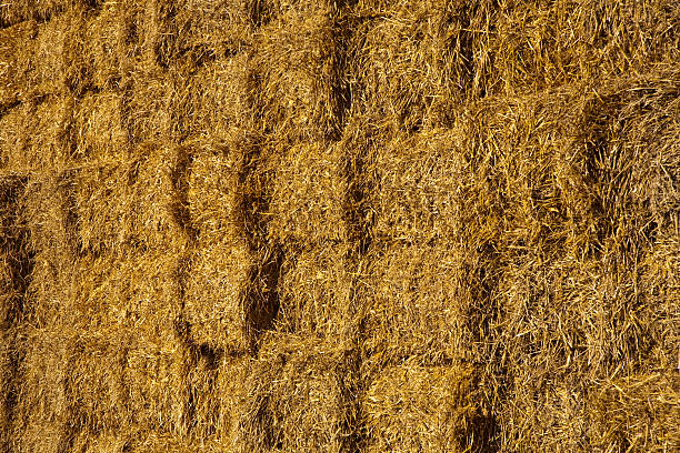 istock bale of straw in intensive colors 452724541
