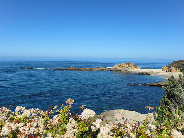 istock Beautiful Laguna Beach, California 452724923