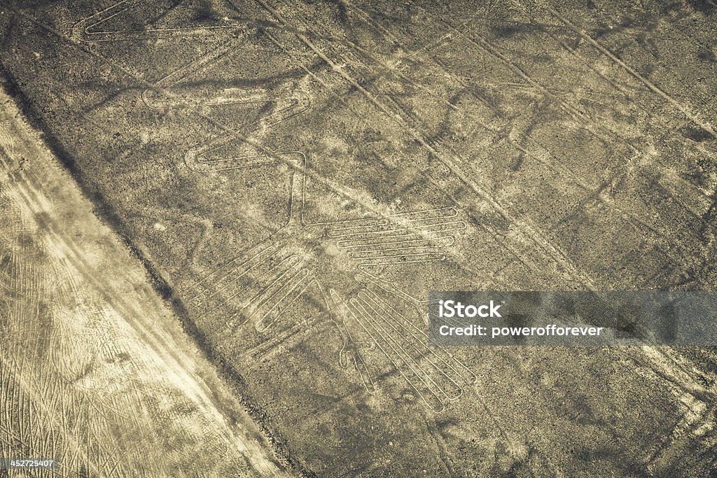 Líneas de Nazca-Flamingo - Foto de stock de América del Sur libre de derechos