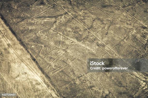 Líneas De Nazcaflamingo Foto de stock y más banco de imágenes de América del Sur - América del Sur, Animal, Antiguo