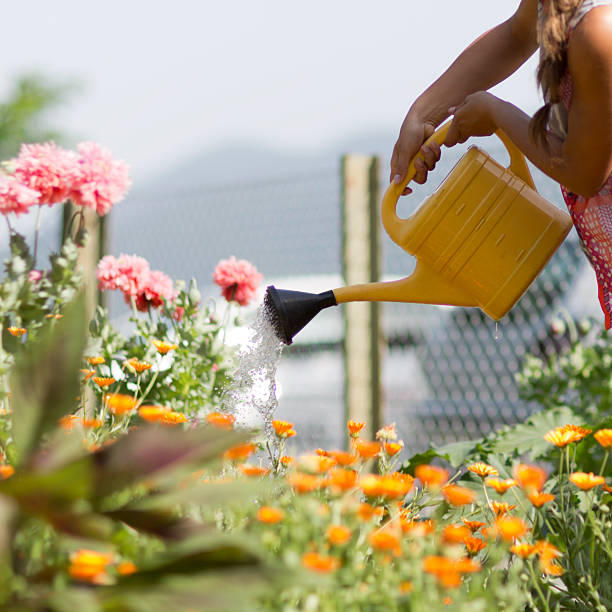 istock Woman Watering Flowers 452725485