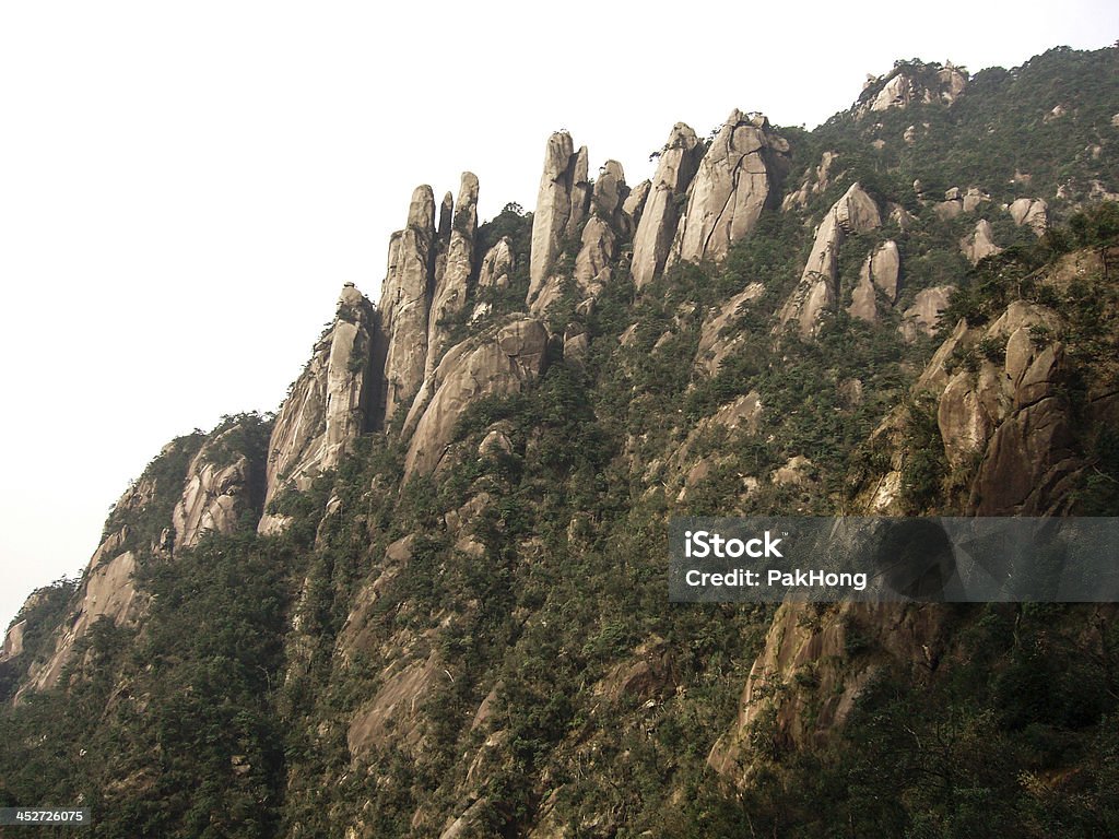 Zhangjiajie - Foto stock royalty-free di Albero