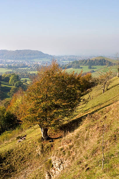 istock UK,  Cotswolds, Uley Bury 452726207