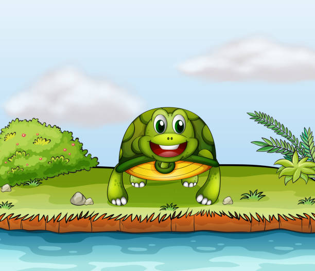 350+ Turtle Pond Stock Illustrations, Royalty-Free Vector Graphics
