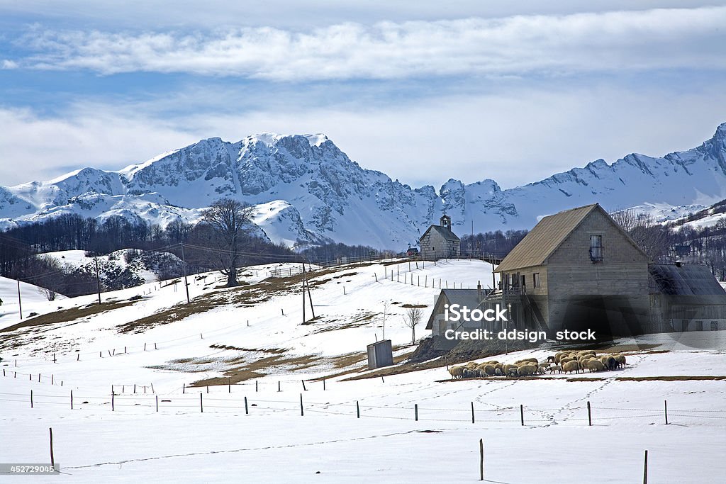 Mountain village - Foto de stock de Abeto libre de derechos