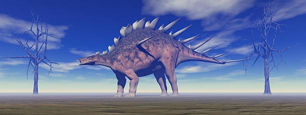 dinosaur kentrosaurus stock photo